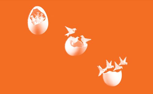 Eclosion(s)