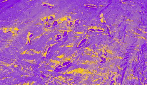 ANTIGONE - TITRE PROVISOIRE