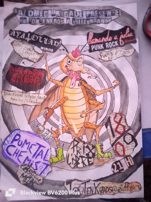 Concert punk au toutenkaos 