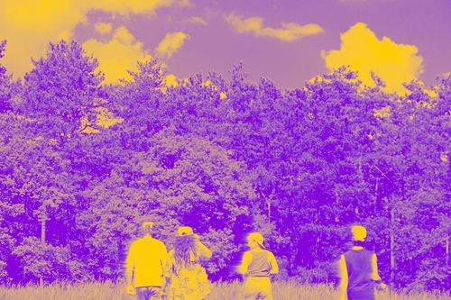 LES BRINS D’HERBE - Sidonie Fauquenoi / Cie La Botte d'Or