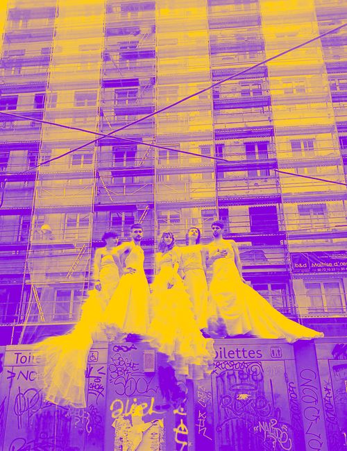 LES SENTIMENTS DU PRINCE CHARLES - D’après l’œuvre de Liv Strömquist / léonce / LIV Collective