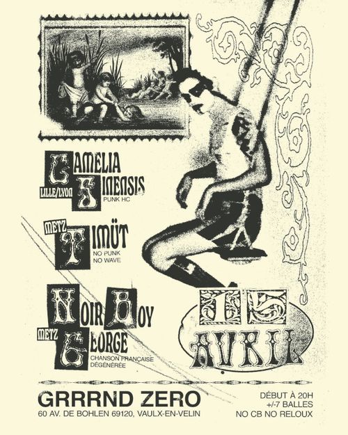 Camelia Sinensis + Timüt + Noir Boy George