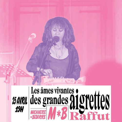 Les âmes vivantes des grandes aigrettes - Diaty Diallo